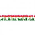 KI-058 Tulips