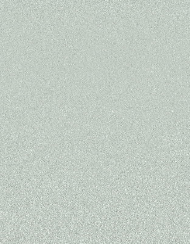 10335-07 / 12168-07 Wallpaper