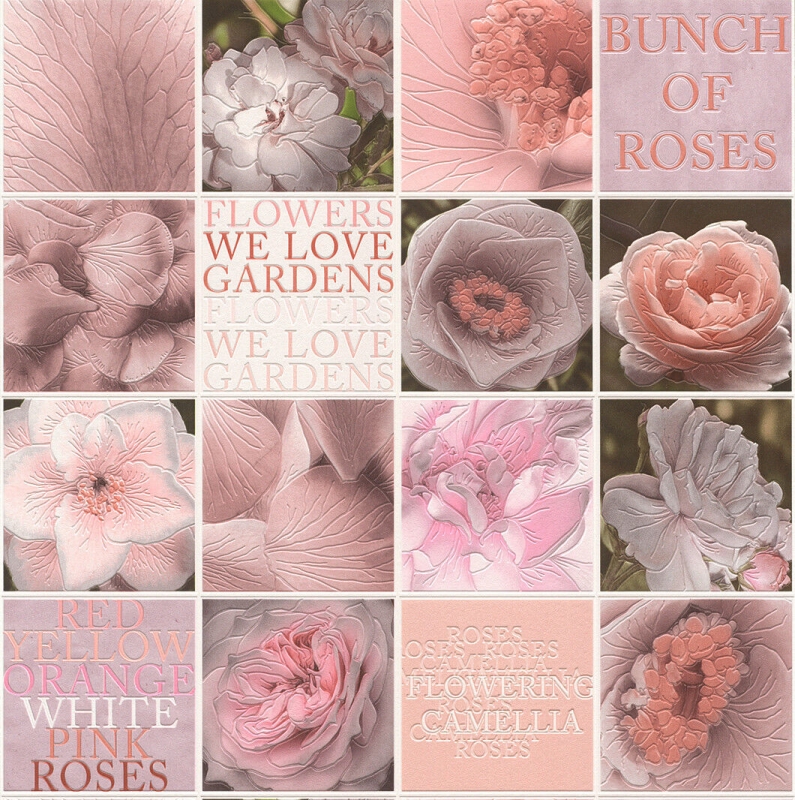 885101 Wallpaper