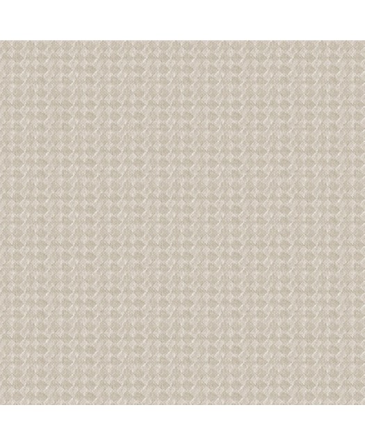 Z44849 Wallpaper