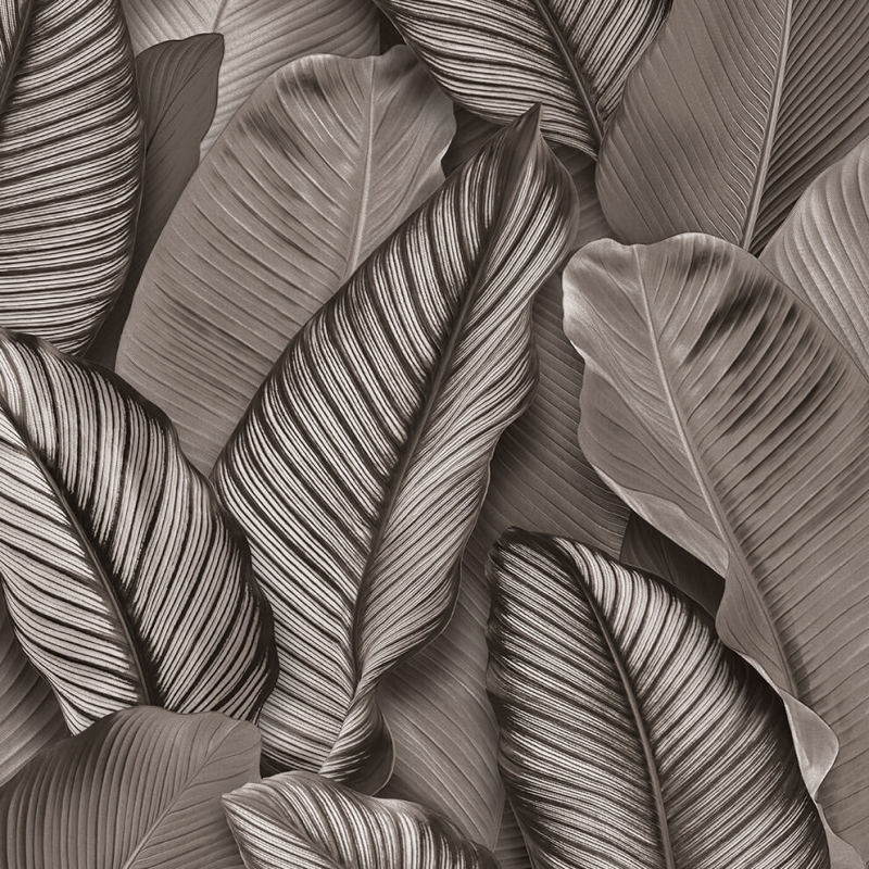 Lora 93313 Wallpaper