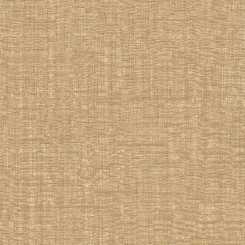 Z48411 Wallpaper