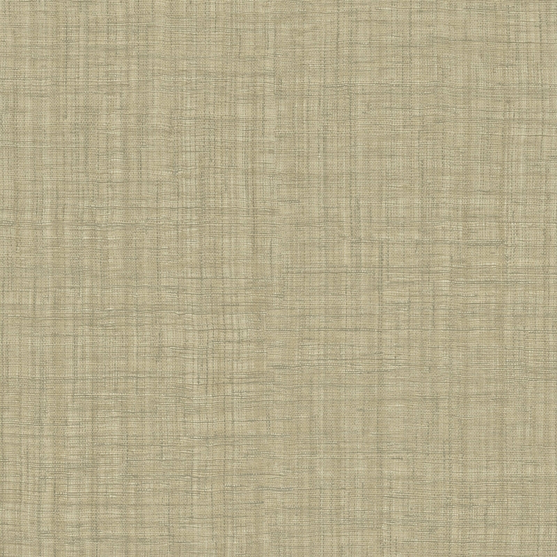 Z48420 Tapete
